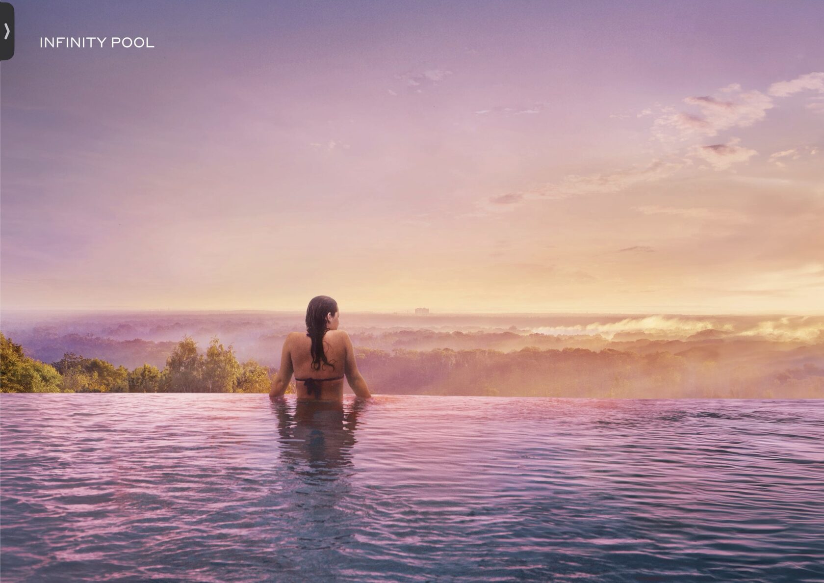 Infinity pool з видом на ліс на світанку
